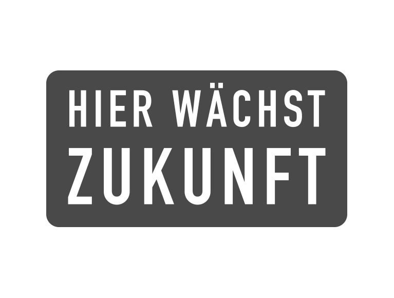 05 Hw Z Logo