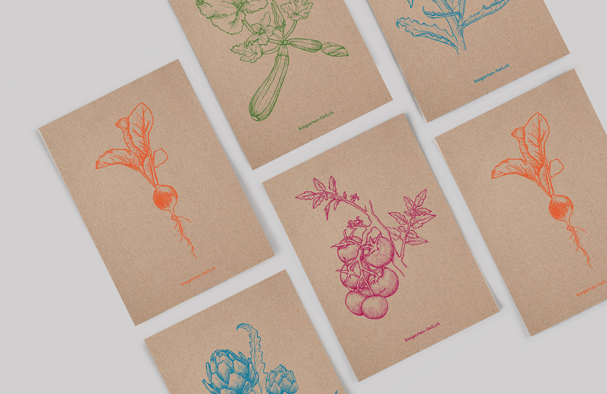 Postkarten mit Gemüseillustrationen von Biogarten Lieli