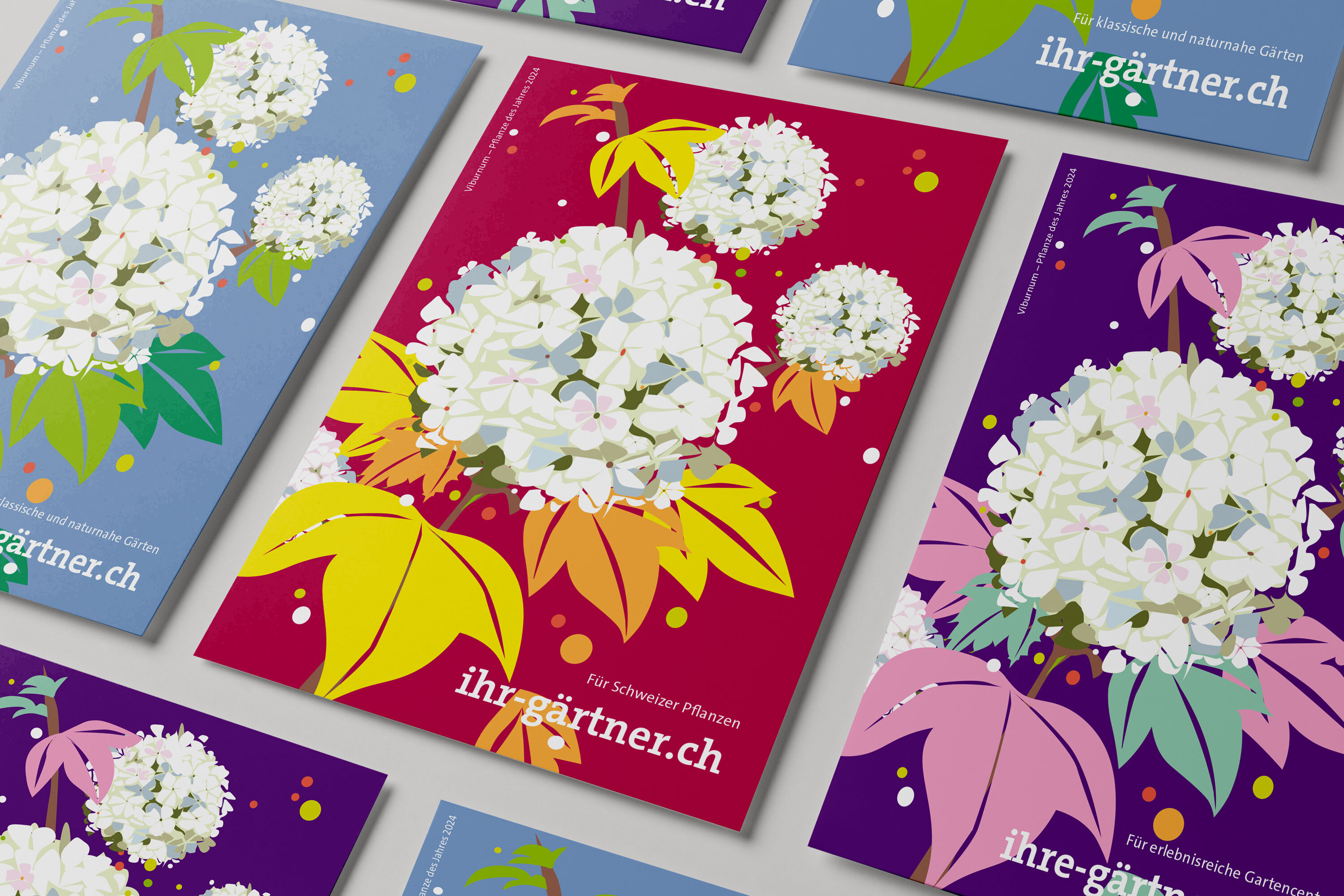 Postkarten mit illustrierten Hortensienblüten und der Website "ihr-gärtner.ch"