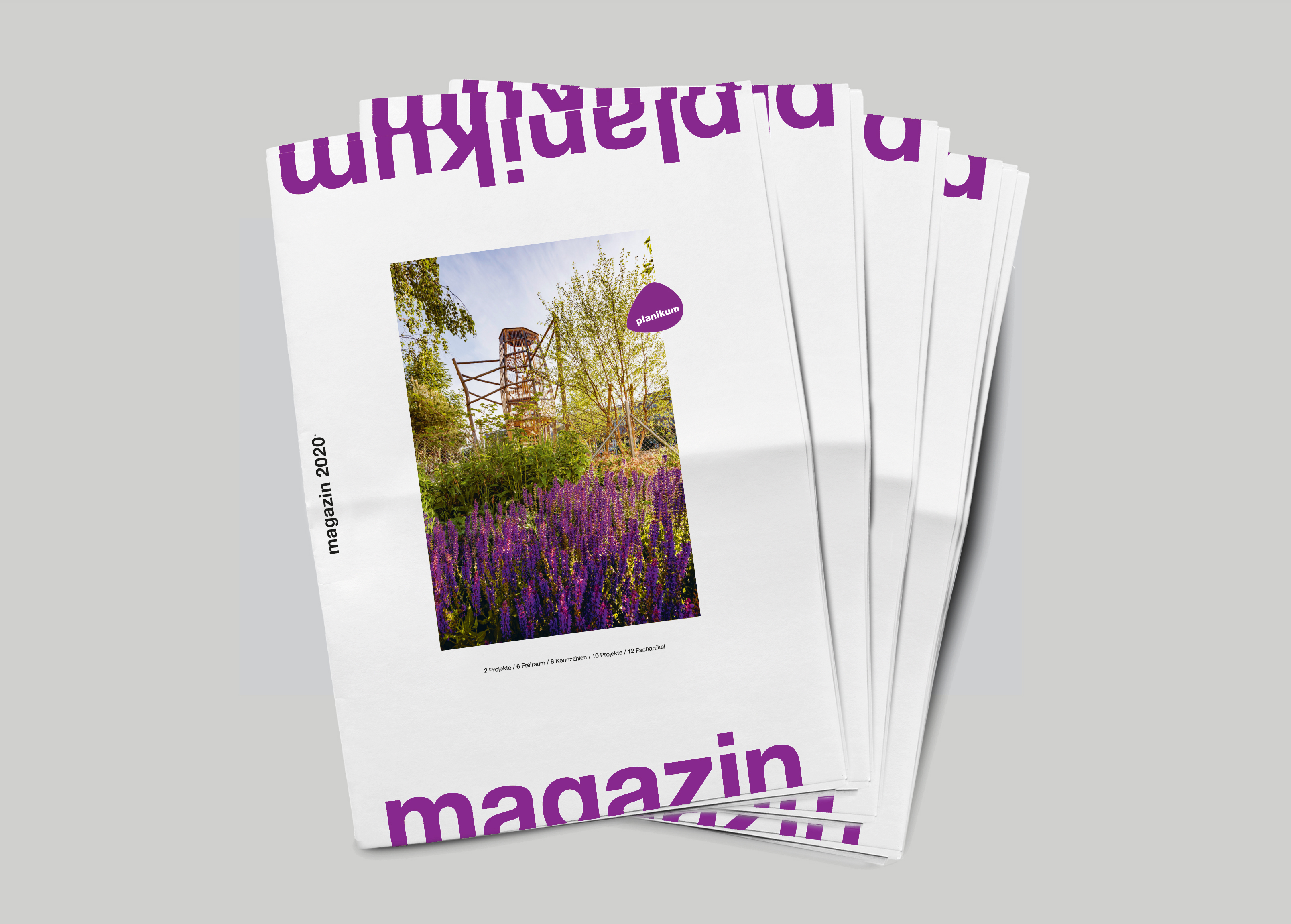 Planikum Magazin 2020 mit Titelbild einer blühenden Wiese und einem Aussichtsturm