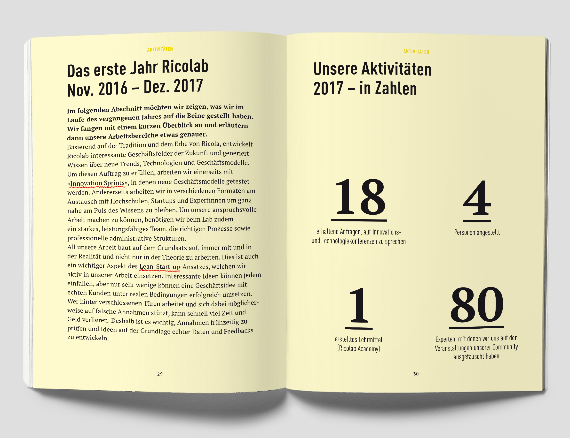 Doppelseite mit Übersicht zu Ricolabs erstem Jahr und Aktivitäten 2017.