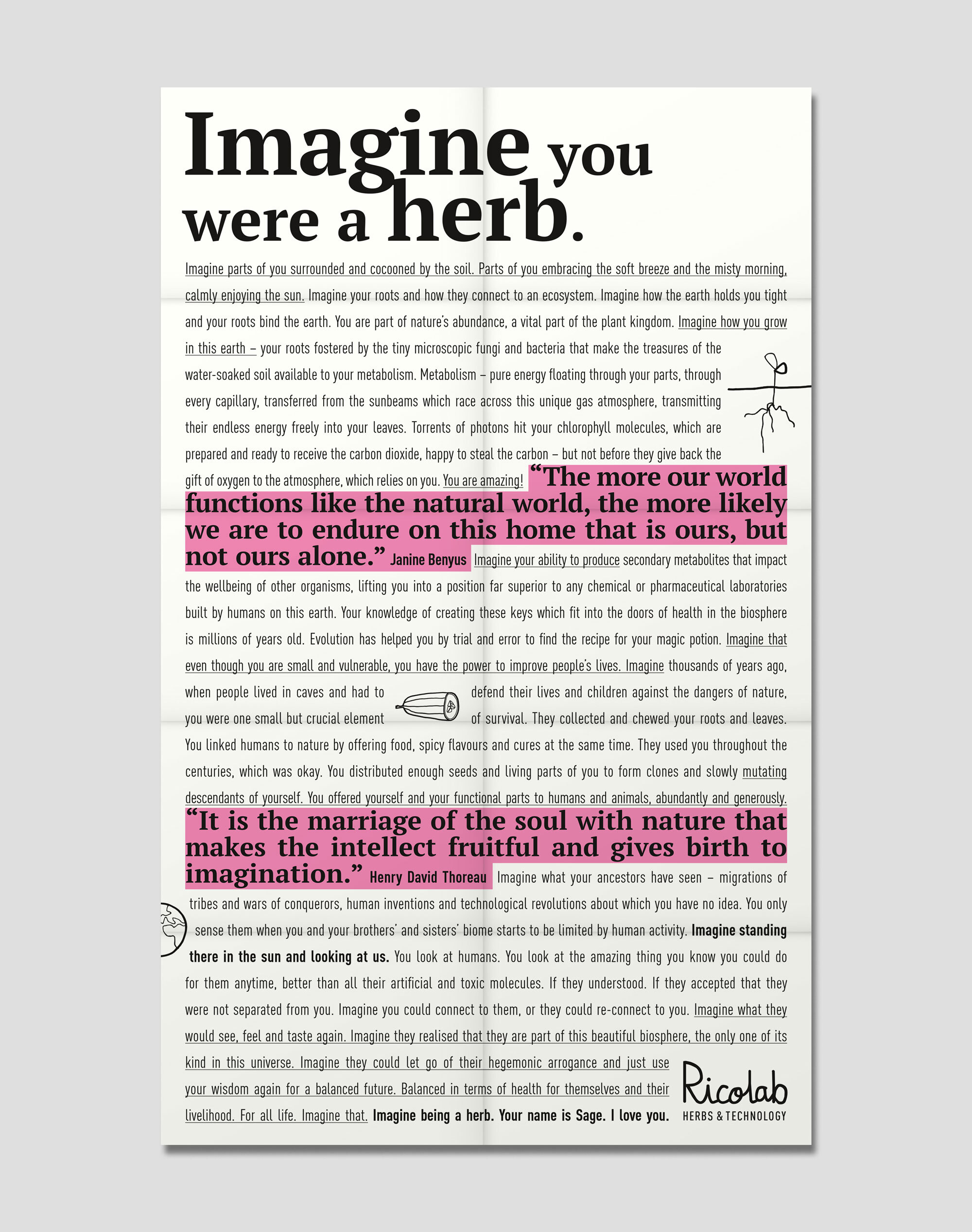 Plakat mit der Überschrift "Imagine you were a herb" und einem poetischen Text über Pflanzen und ihre Bedeutung.