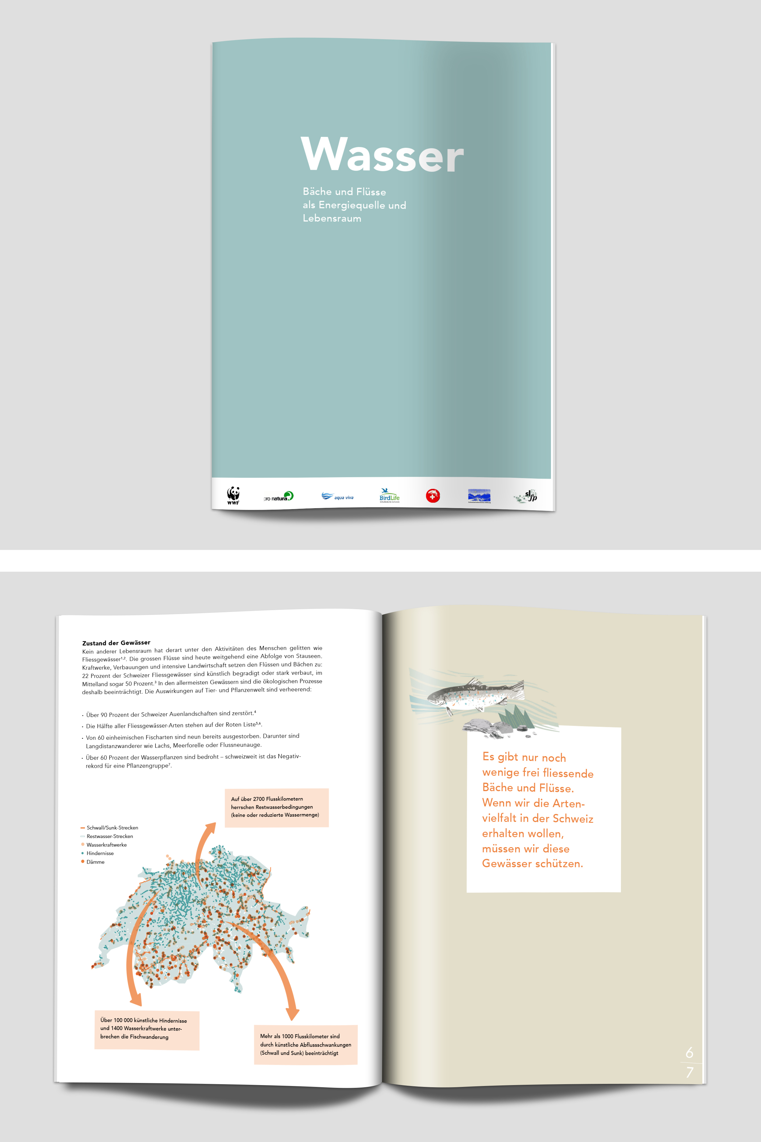Broschüre mit dem Titel „Wasser – Bäche und Flüsse als Energiequelle und Lebensraum“ und einer Doppelseite mit Informationen über den Zustand der Gewässer in der Schweiz.