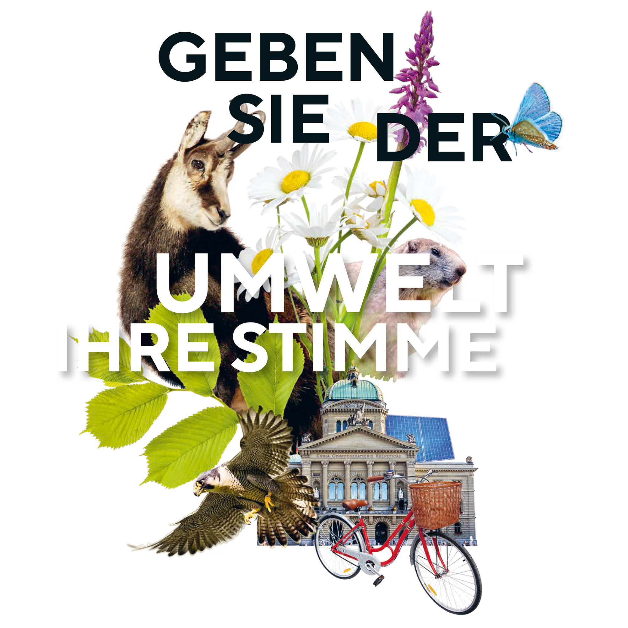 Collage mit Naturmotiven und dem Text: "Geben Sie der Umwelt Ihre Stimme".