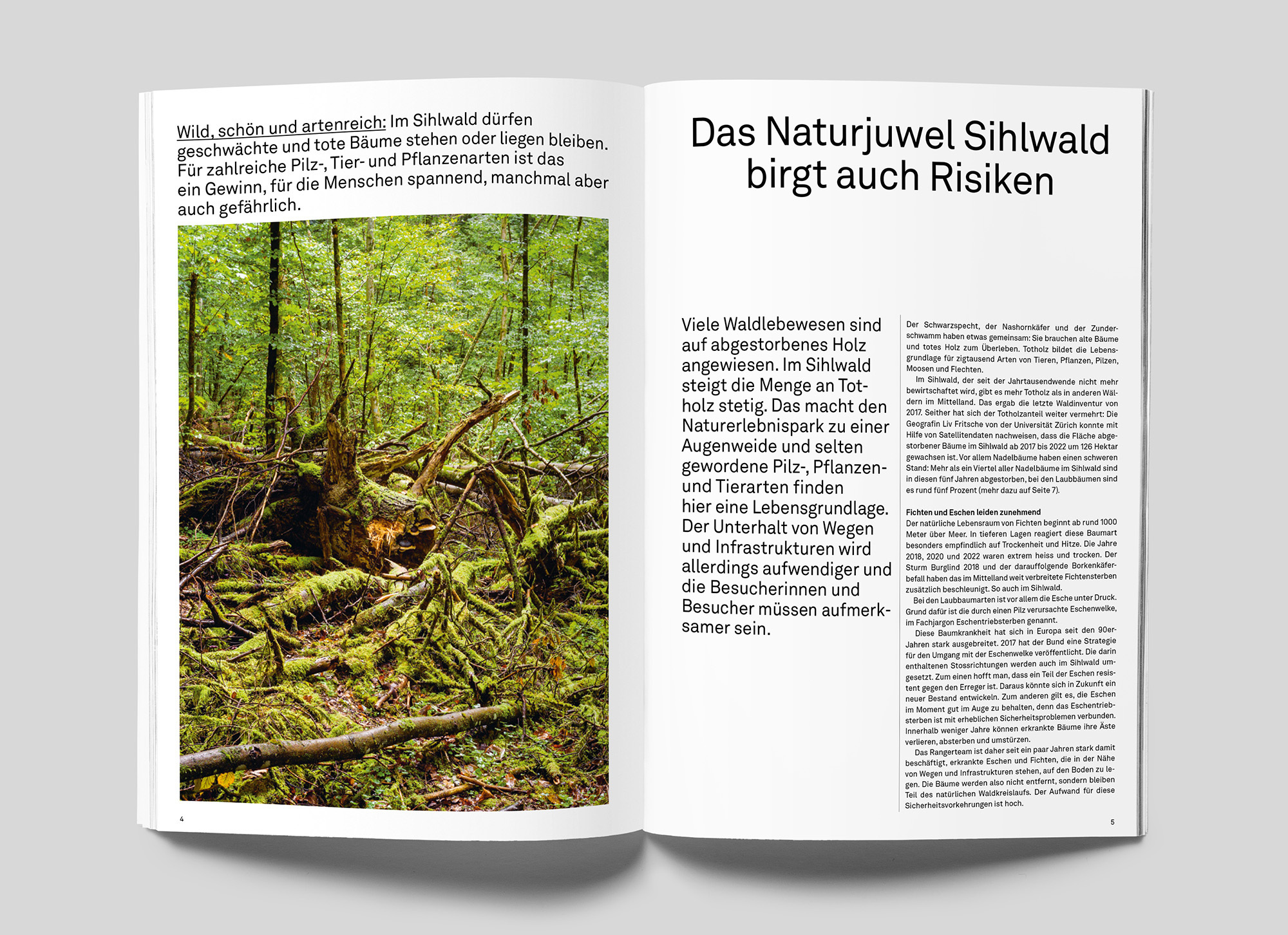 Seite eines Jahresberichts mit dem Titel "Das Naturjuwel Sihlwald birgt auch Risiken" und einem Foto von moosbewachsenem Totholz im dichten Wald.