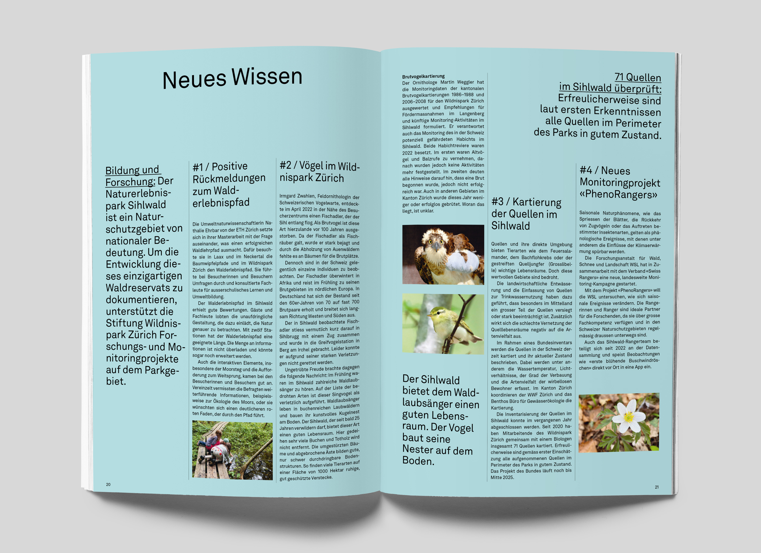 Doppelseite eines Magazins mit dem Titel „Neues Wissen", enthält Artikel über Forschung und Naturbeobachtungen im Wildrevier